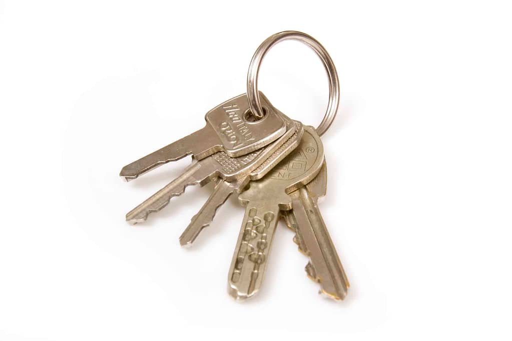 A smaller bunch of keys resulting from a master key system