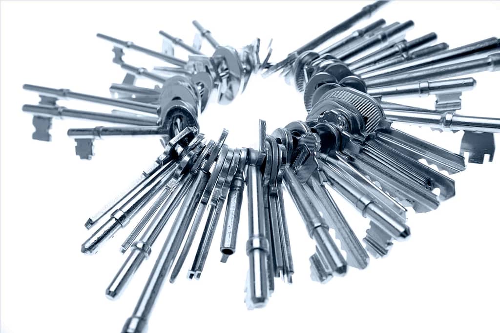Some of us know what it is to carry around a huge bunch of keys. That's why you need a master key system.