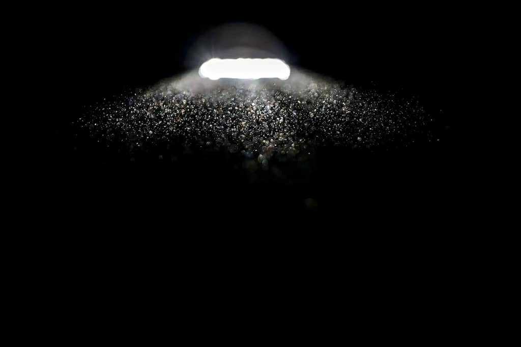 security light