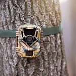 how to hide a trail cam for home security