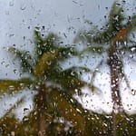 how to protect your windows and doors during a hurricane