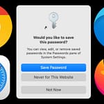 browser based password managers