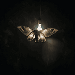 bugs attracted to security cameras