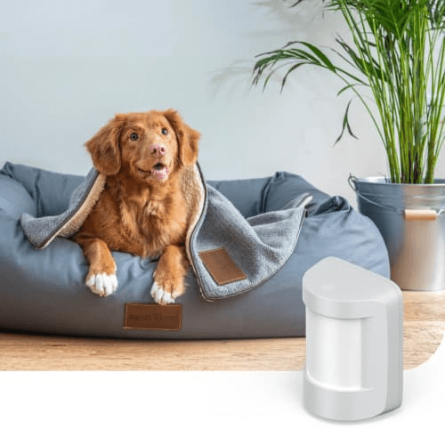 A motion detector from Hive with a pet-friendly feature to ensure security pets are not detected as intruders.