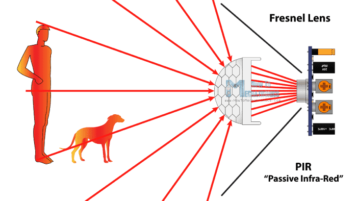 A typical pet-friendly motion detector showing differences between human and pet detection