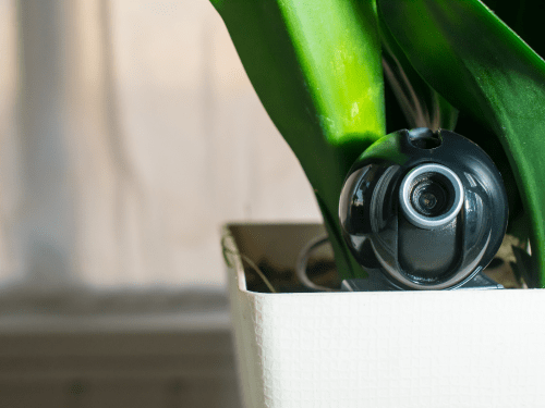 Placing trail cam in a plant pot or amongst other decorative items is a great way to hide it from view