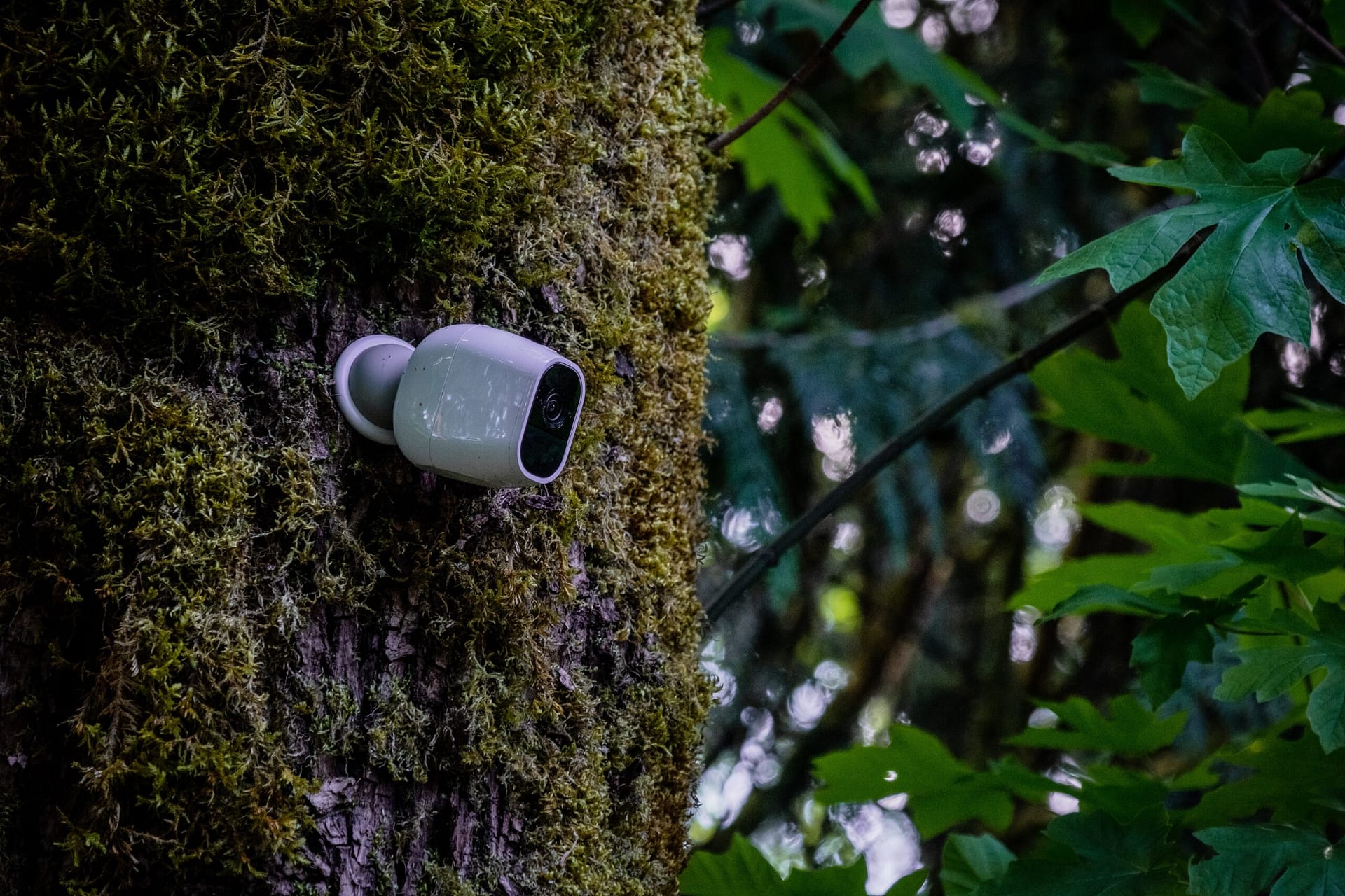 how far can a wireless security camera transmit